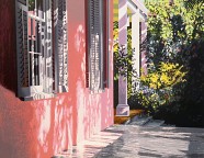 Dappled Pink