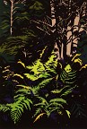 Ferns