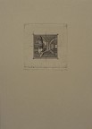 Arcadia Suite: Barogue Trumpet