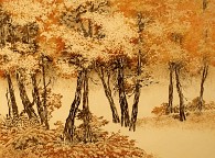 Fall Foliage