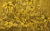 Wild Garden