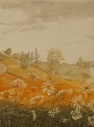 Wildflower Fields 2