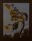 Sunflowers State II