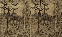 Woodlot Gully I