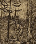 Woodlot Gully II