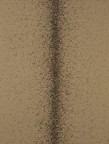 The Root Of Light Series - The Root Of Light