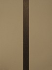 The Root Of Light Series - The Uncarved Block