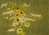 Black Eyed Susans