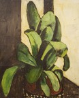 Green Plant