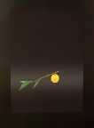 Fruit d'Oree