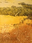 Meadow And Thistle