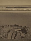 Sand Drawings #21