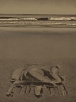 Sand Drawings #24
