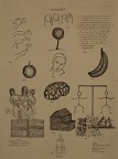 Alphabet