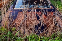 Abandoned Car & Grass