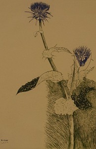 Thistles And Blue Flower