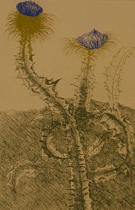 Thistles And Blue Flower