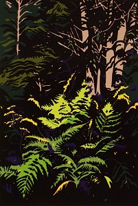 Ferns