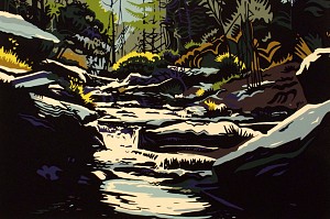 Woodland Rhythms