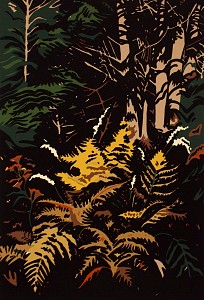 Yellow Ferns