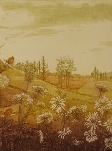 Wildflower Fields 1