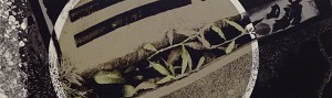 Asphalt Gardens: inside