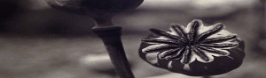 Black Flowers 8:22