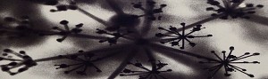 Black Flowers 8:31