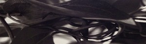 Black Flowers 8:32