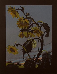 Sunflowers State II