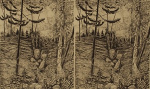 Woodlot Gully I