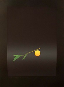Fruit d'Oree