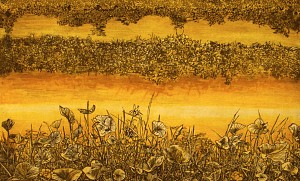 Water Lilies