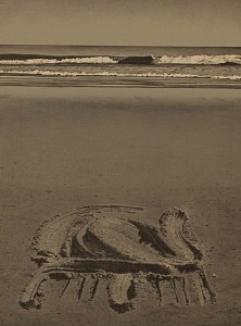 Sand Drawings #24