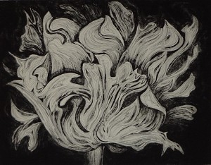 Untitled XIV