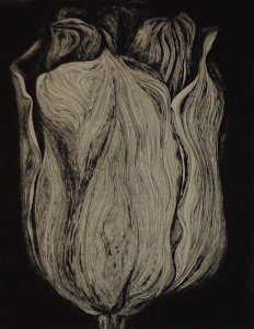 Untitled XV