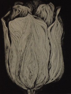 Untitled XIV