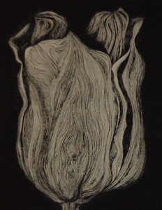 Untitled XVI
