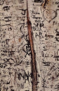 Aspen Graffite