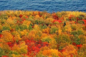 Autumn Overlook