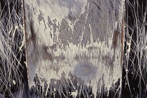 Car Hood #1