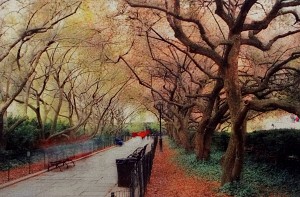 Central Park