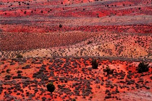Desert Pastel