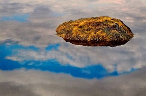 Floating