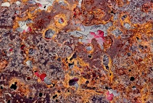 Rust and Roses
