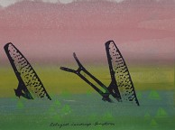 Cultural Landscape: Deluged Landscape