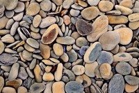 Beach Stones & Surf