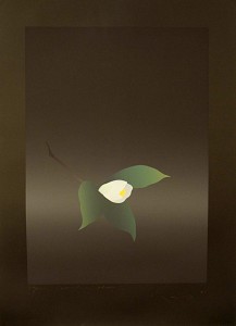 Camelia Blanc
