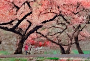 Spring Impression